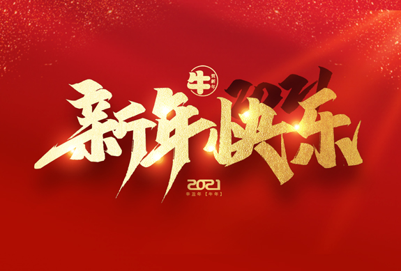 麗水市威儀自動(dòng)化技術(shù)有限公司祝全國人民2021年新年快樂！