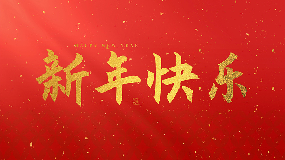麗水市威儀自動(dòng)化技術(shù)有限公司祝全國(guó)人民2025新年快樂(lè)！